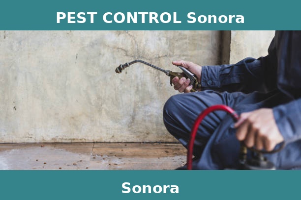 PEST CONTROL Sonora